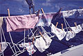 航海中の子供達の洗濯物